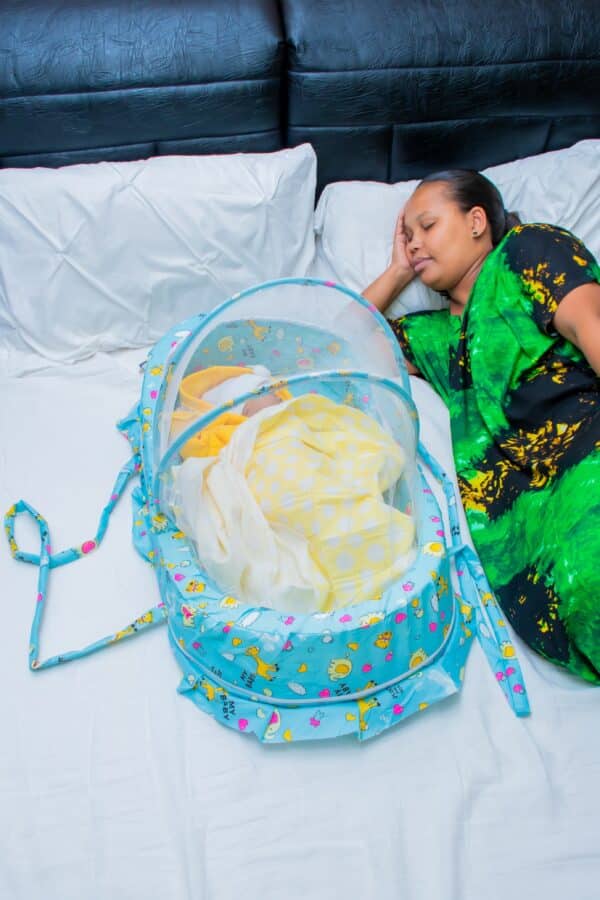 Newborn Foldable Portable Bassinet