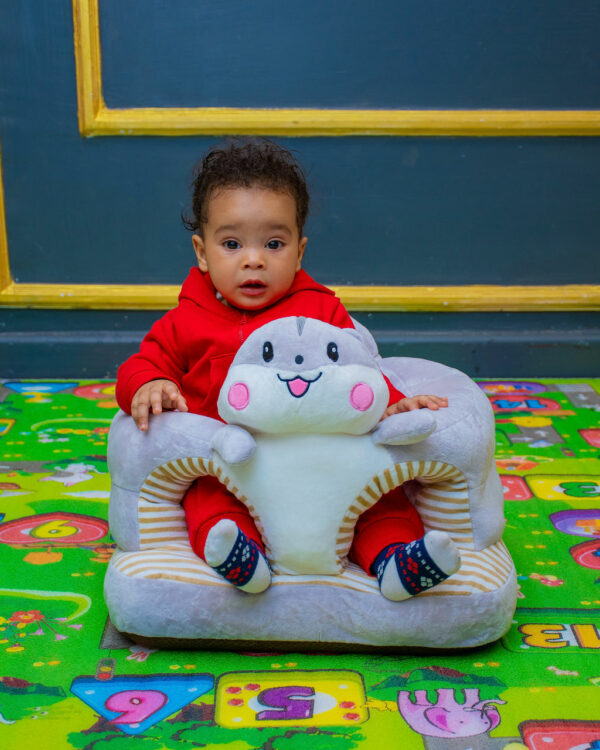 Sit Me Up / Training Seat / Baby Support Pillow