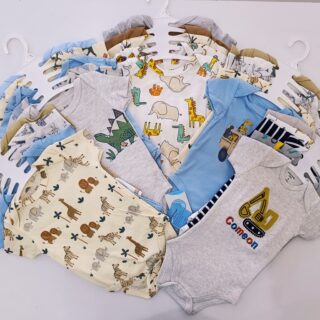 5 Pieces Multicolored Short-Sleeve Newborn Baby Boy Bodysuits