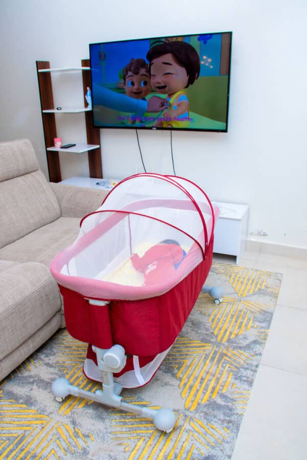 Multipurpose Baby Playpen Portable Baby Crib / Co-sleeper - Image 9