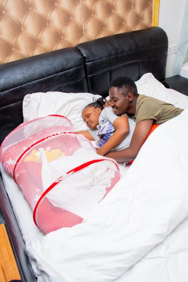Portable Baby Co-sleeper With Mosquito Net - Image 18