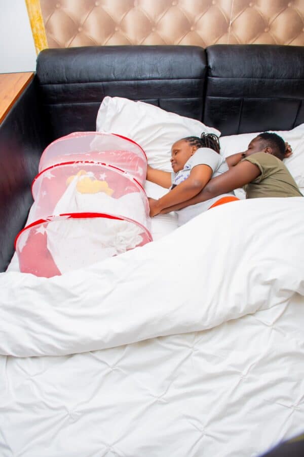 Portable Baby Co-sleeper With Mosquito Net - Image 20