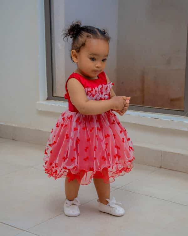 Fashion Princess Dress Wedding Flower Girl Birthday Dress - Image 2