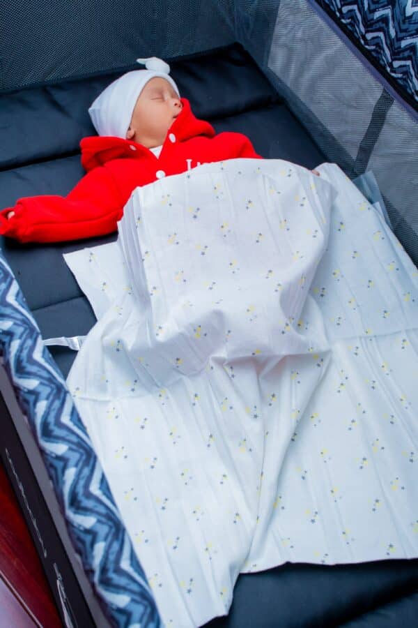 Portable Travel Baby Bedside Cribs Foldable Baby Crib - Image 8
