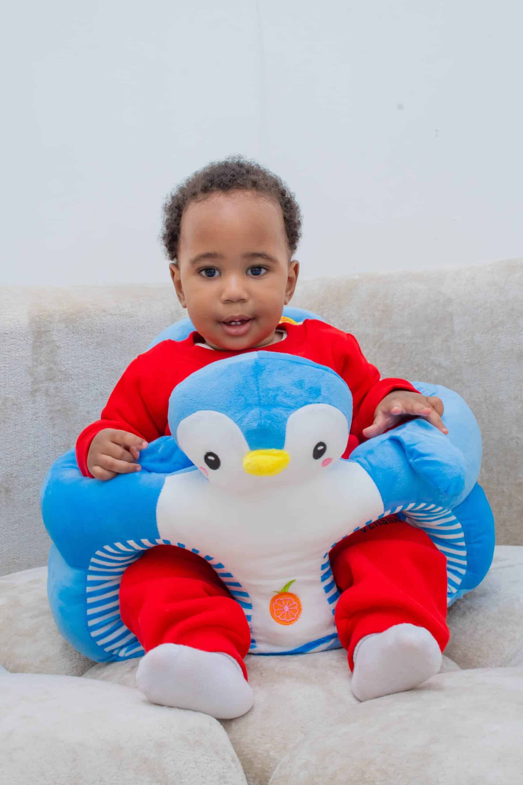 Sit Me Up / Training Seat / Baby Support Pillow - Image 14