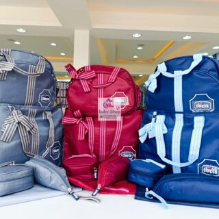 5-in-1 Chicco Diaper Bag Set