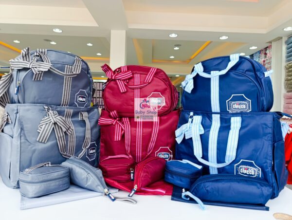 5-in-1 Chicco Diaper Bag Set