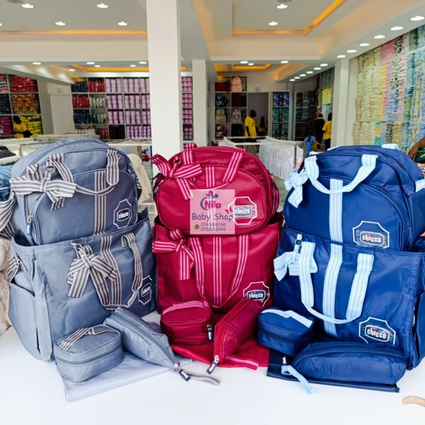 5-in-1 Chicco Diaper Bag Set - Image 2