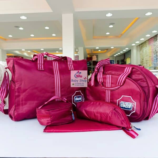 5-in-1 Chicco Diaper Bag Set - Image 5
