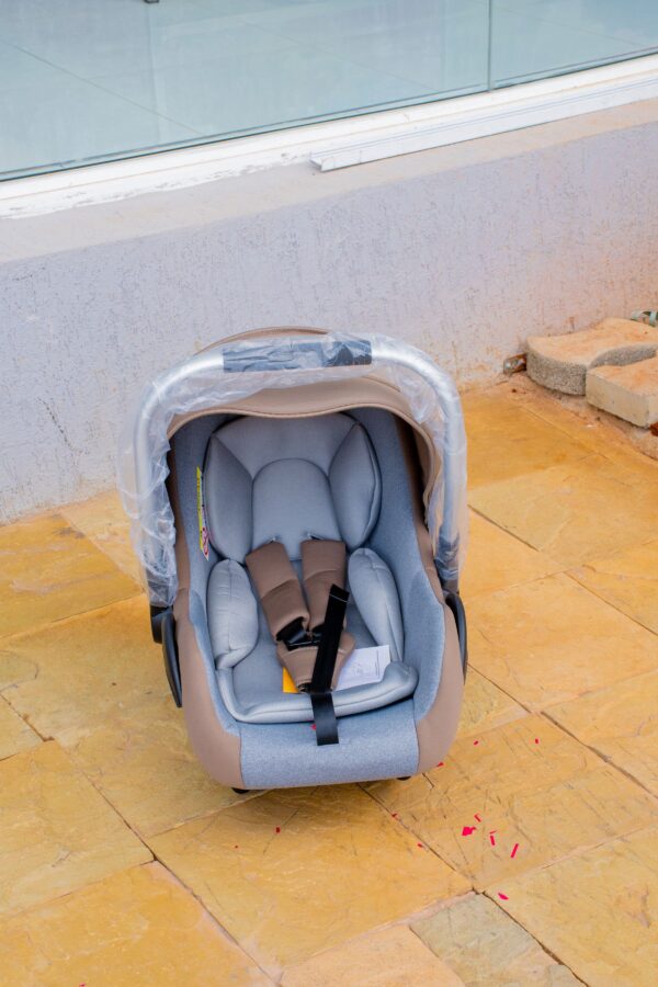 Infant Car Seat Carrier with Canopy & Safety Harness - Image 10